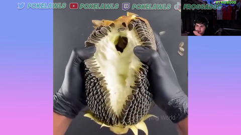 pokelawls - weed brain