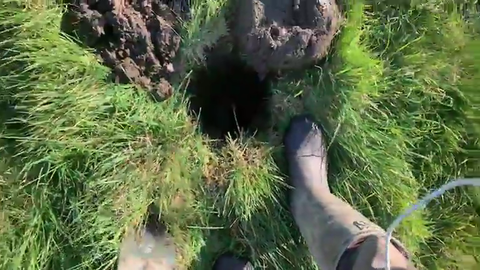 Metal detectorist finds gold and becomes a chipmunk