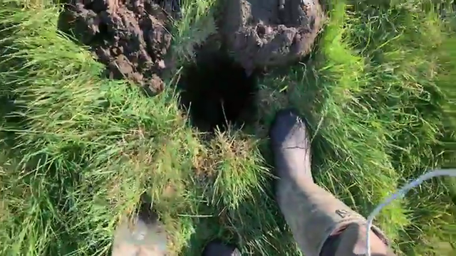 Metal detectorist finds gold and becomes a chipmunk