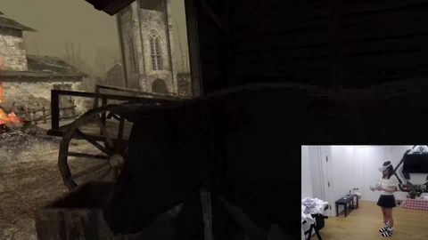 Lilypichu kills an innocent cow D: