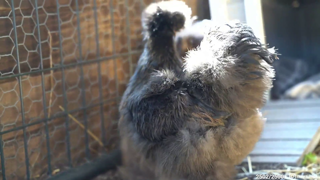 Fluffy