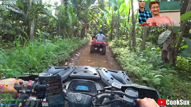 Small Korean streamer flips ATV 