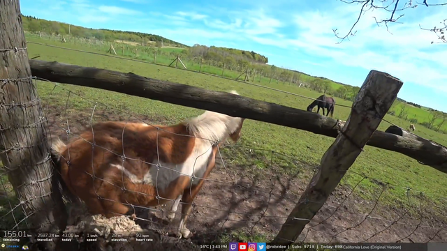 Robcdee helps a horse out