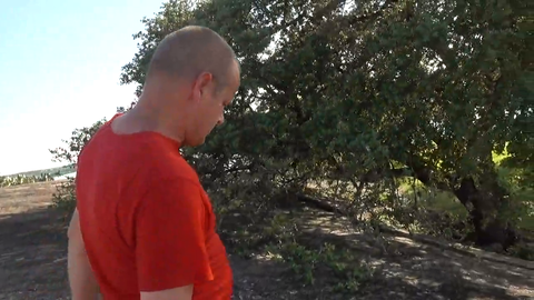Bjorn struggled being a teacher