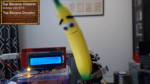 Transparent banana