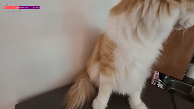 chat sniffa