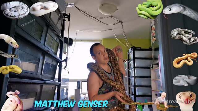 Dude with 100 snakes shows off QUEEN, his largest python 🐍