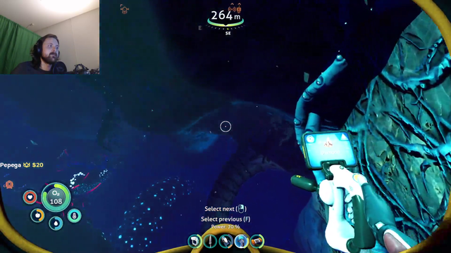 Forsen finds an underwater beehive
