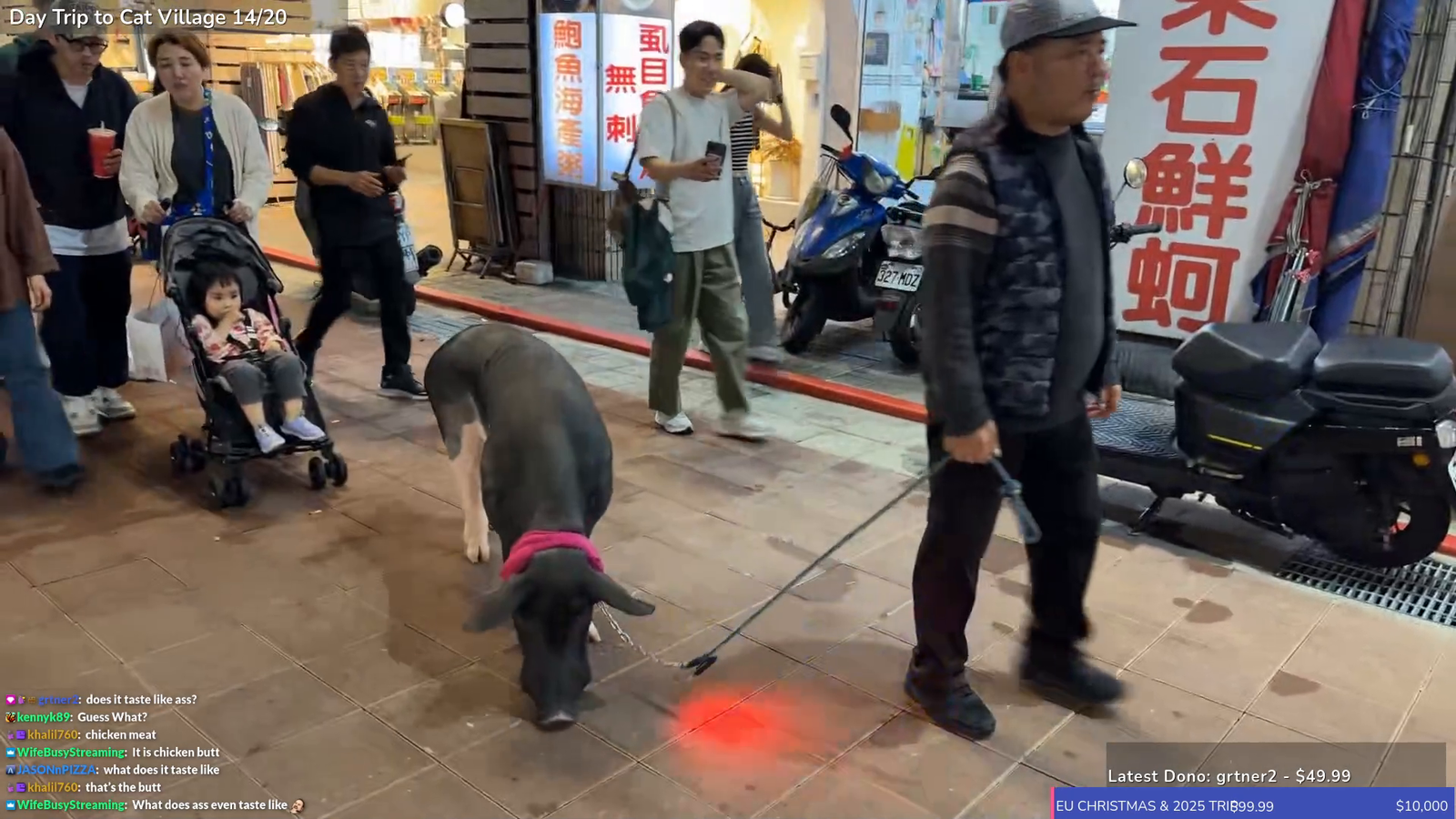 Just a man walking his pig