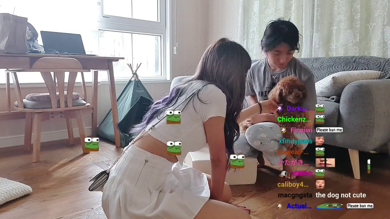 Jinny's dog bites Yuni monkaW