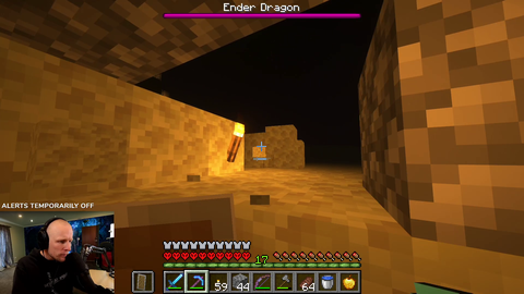 Quin gets breathed on by ender dragon