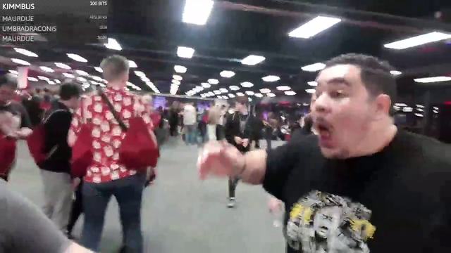 The average Runefest visitor