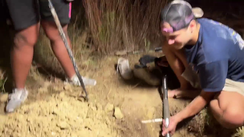 the dig gets a call from HOA