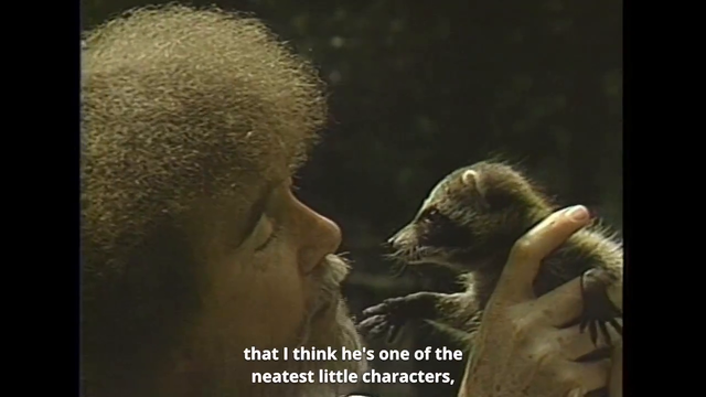 Bob Ross with raccoon