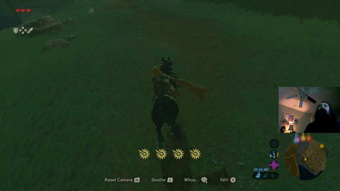 Aris finds famous female streamer in BOTW.