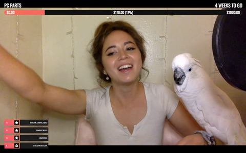 Bird Girl found a duet partner