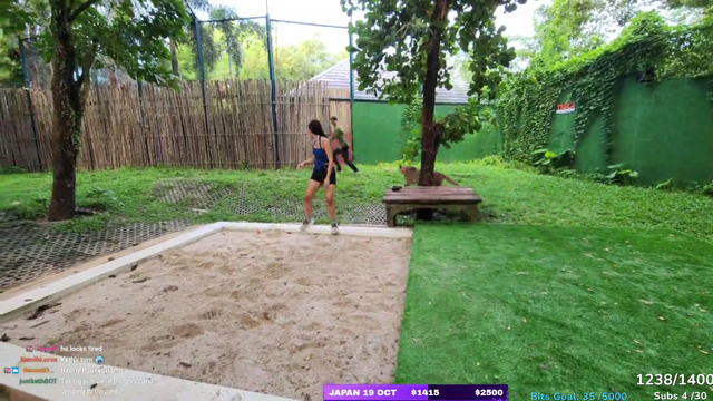 Streamer plays tag with a cheetah