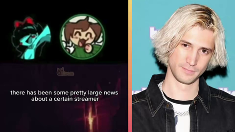 Calamity dev explains why they rejected xQc's offer to hire them.

“A lot of the devs just don’t like xQc.. But, I don’t think it’s about getting along with xQc.. It’s entirely the legal implications.”
