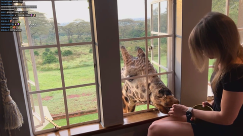casual Africa stream
