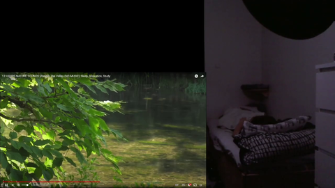 Cat Snuggles Up With Sleeping Streamer