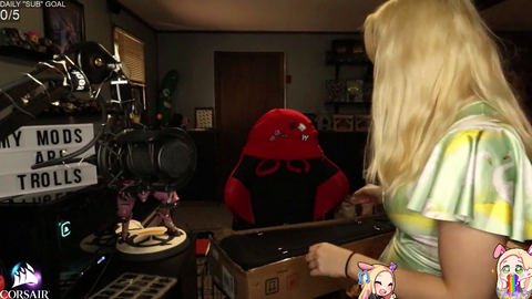 Streamer gets emotional as she gets gifted a new viola.