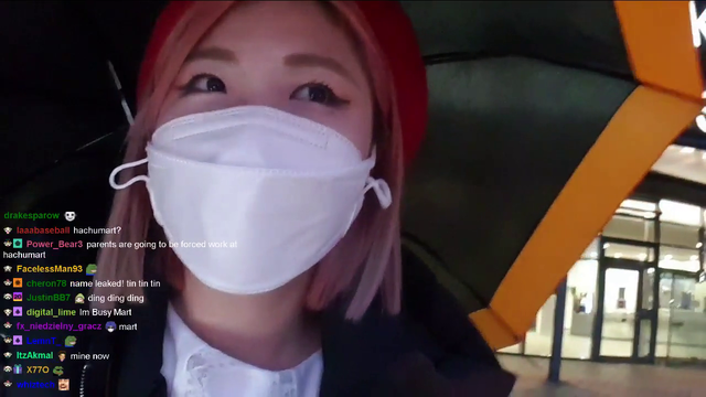 HAchubby seeing a Truck in the Wild