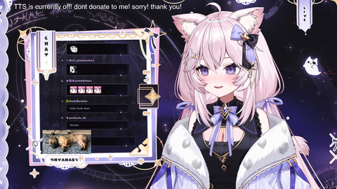 Nyanners tells viewers that VShojo didn't pay her for a sponsored stream that she got swatted for