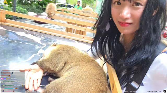 Jinny gets gets tricked by a cute coati