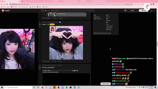 Emiru's Twin