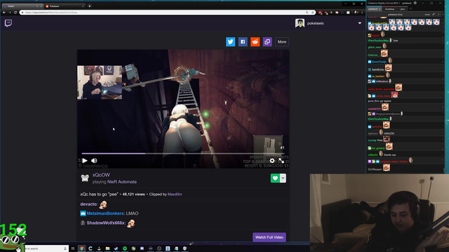 poke gains twitter followers