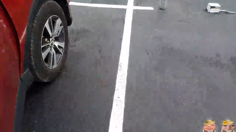 Crazy homeless guy attacks lady in a parking lot