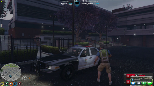 LIRIK - What are the Five Stages of Force? (GTA RP)