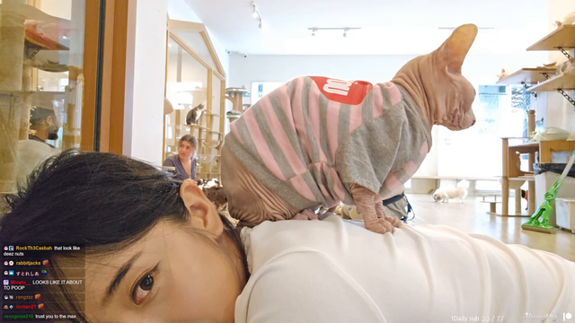 Jinny gets the job at the animal cafe