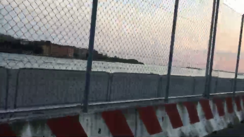 IRL Streamer (Euri) stumbles upon mating seagulls in Venice