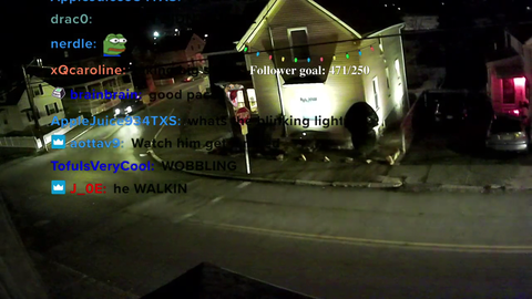 Chat gets excited when a car stops at a stop sign.