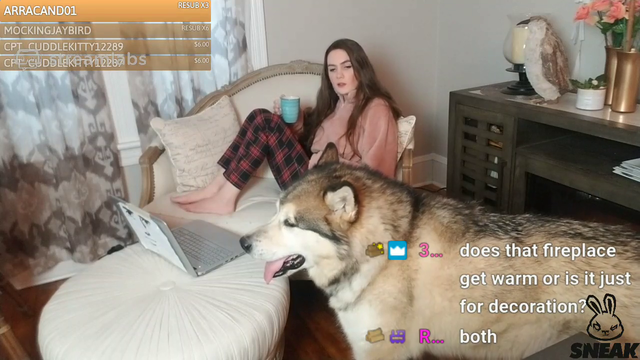 Average Morning howl with Alisha and Thor