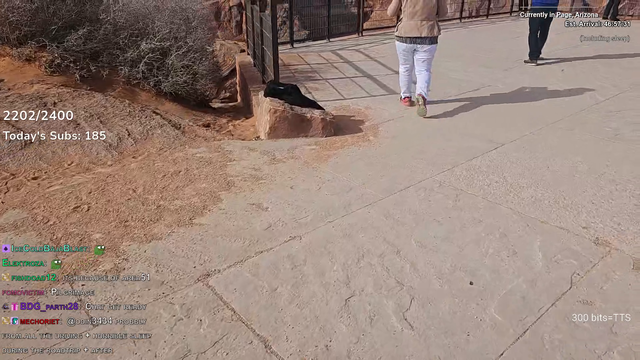 Grand Canyon View
