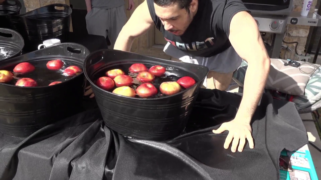 Greekgodx Alpha Af