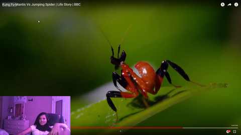 streamer thinks nature is cute