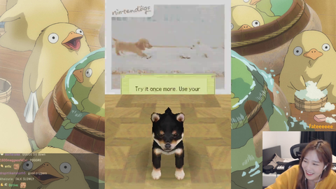 39daph shows stream how to train your dog