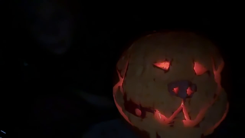 Skilled pumpkin-carver with two viewers promises 24-hour charity stream for animals, hopes to raise $100