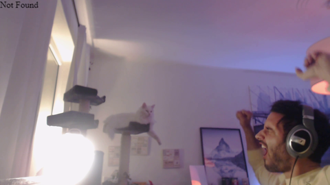 college boy makes cat yawn