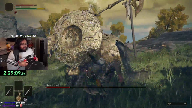 Streamer beats Elden Ring Tree Sentinel with steering wheel