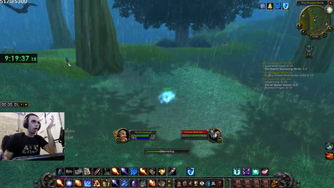 Fly hacker in classic WoW