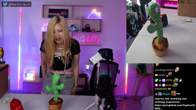 Hachu finds a creature louder than she is