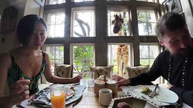 Giraffe joins breakfast in Nairobi, Kenya