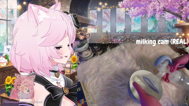 Nyanners activates Turbo mode