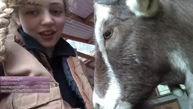 Goat zipping device