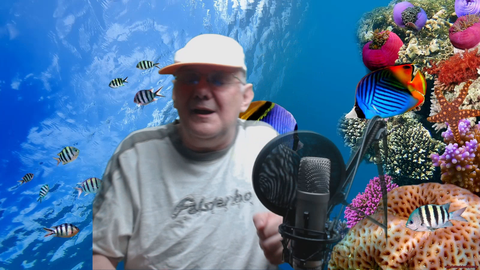 German Streamers btw.