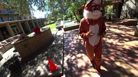 erobb bussin it down at FurryCon